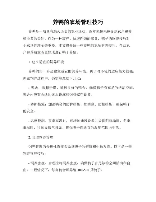 养鸭的农场管理技巧