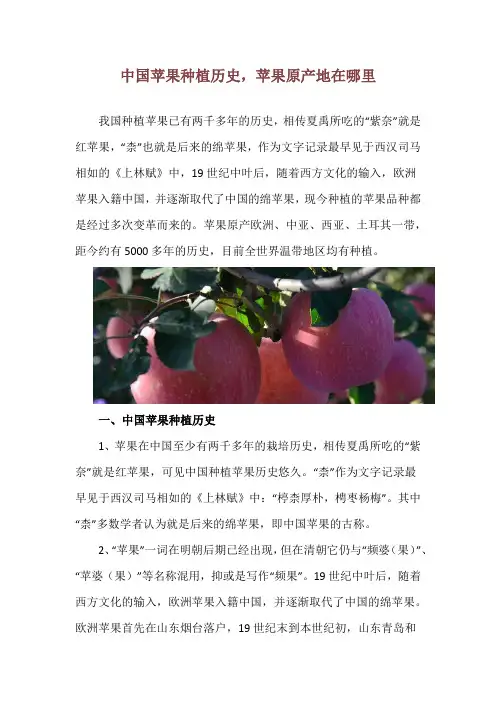中国苹果种植历史,苹果原产地在哪里