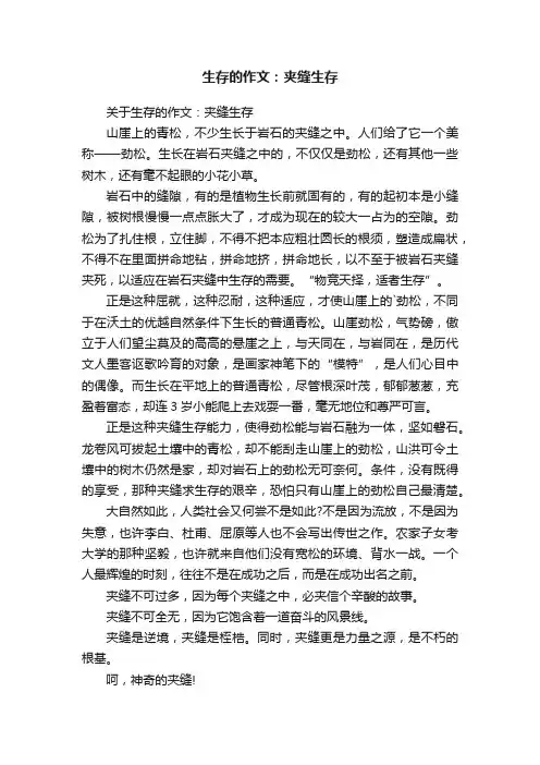 关于生存的作文：夹缝生存