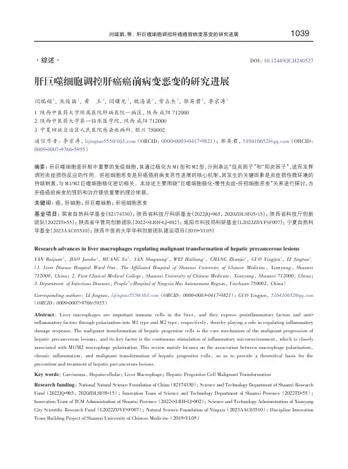 肝巨噬细胞调控肝癌癌前病变恶变的研究进展