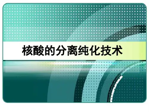 核酸分离纯化版