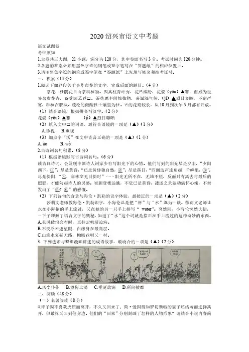2020年浙江省绍兴市中考语文试卷及答案