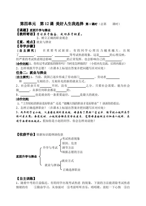九年级政治美好人生我选择