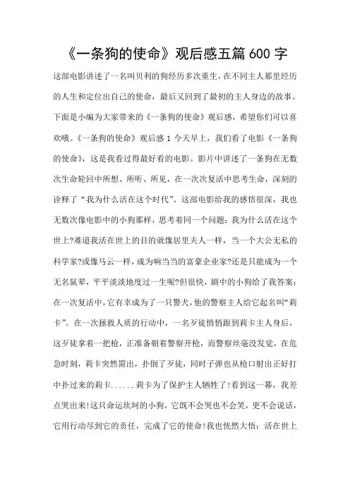 《一条狗的使命》观后感五篇600字