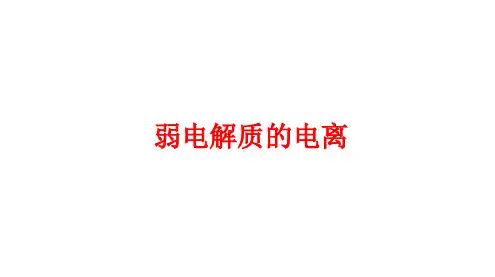 水溶液中的离子平衡复习课件