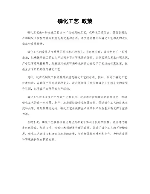磷化工艺 政策