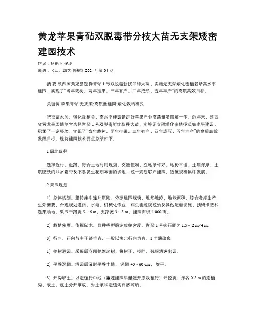 黄龙苹果青砧双脱毒带分枝大苗无支架矮密建园技术