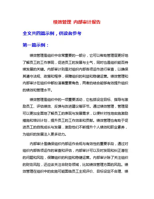 绩效管理 内部审计报告