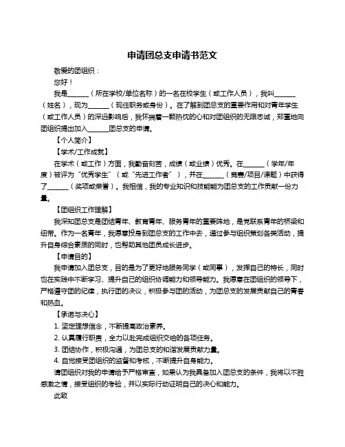 申请团总支申请书范文
