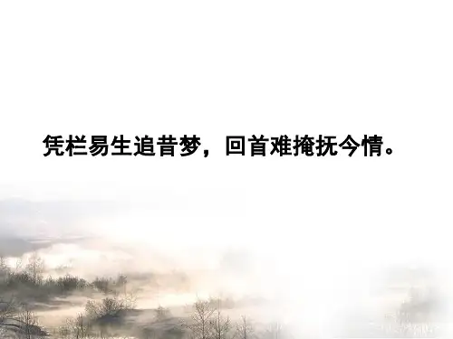 《永遇乐京口北固亭怀古》ppt课件