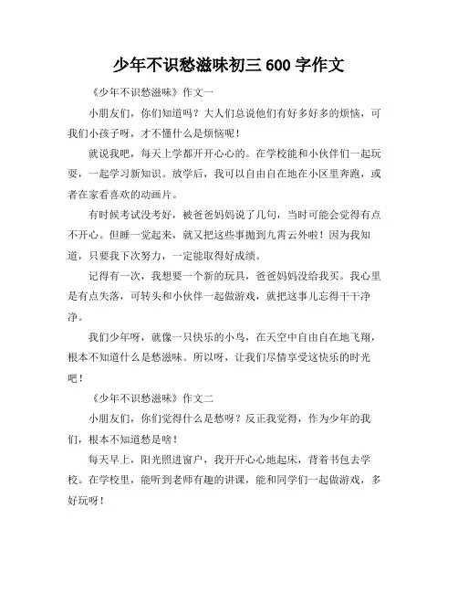 少年不识愁滋味初三600字作文