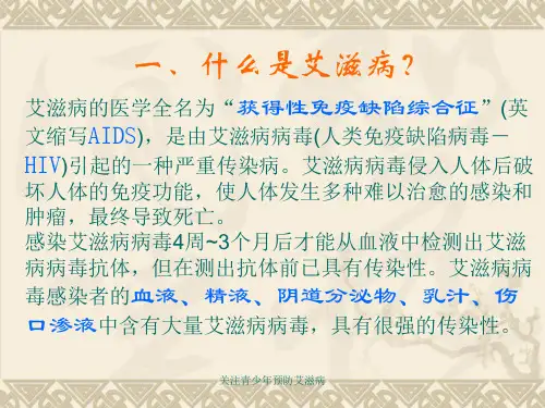 关注青少年预防艾滋病课件