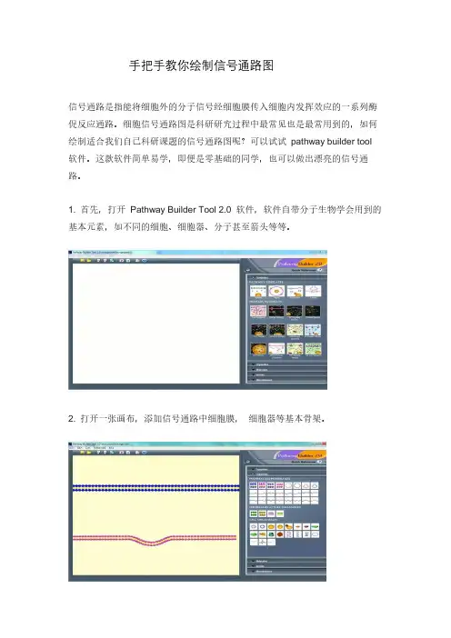 手把手教你绘制信号通路图