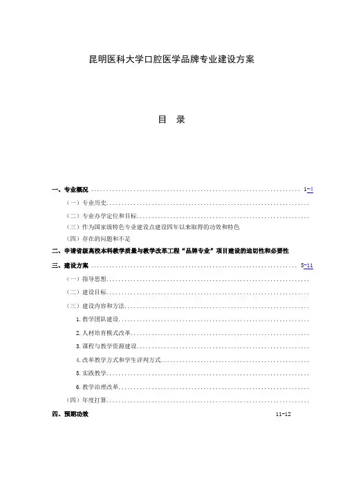 “专业综合改革试点”项目建设方案