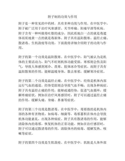 附子制的功效与作用