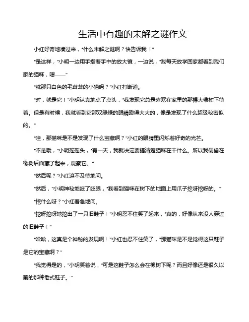 生活中有趣的未解之谜作文