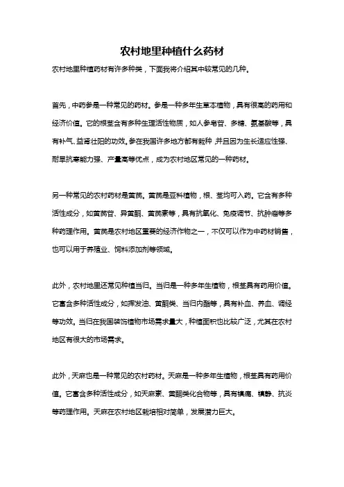 农村地里种植什么药材