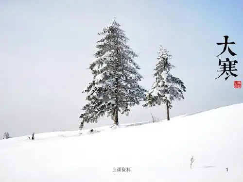 二十四节气之大寒ppt[公开课堂]