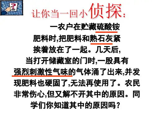11.2化学肥料(13张ppt.人教版)