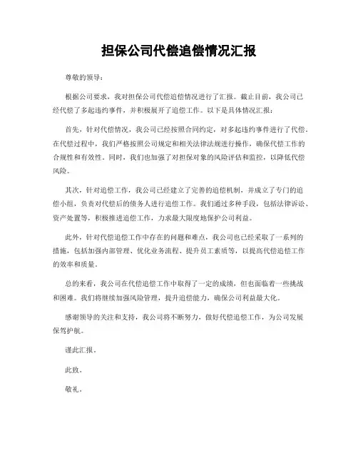 担保公司代偿追偿情况汇报