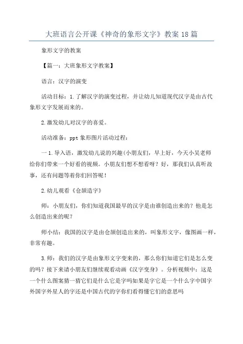 大班语言公开课《神奇的象形文字》教案18篇