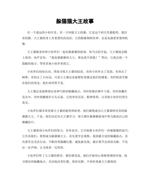 躲猫猫大王故事