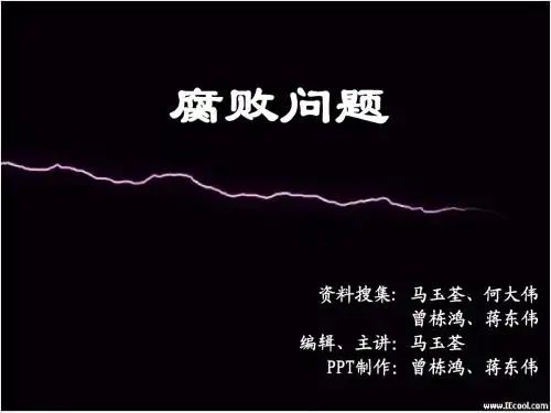 腐败问题
