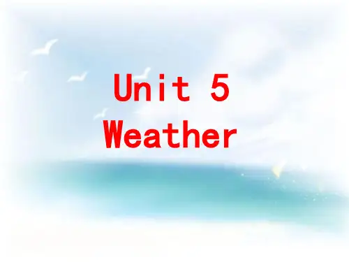 小学英语四年级上册(鲁科版)Unit 5《Lesson 2 It’s snowing》课件