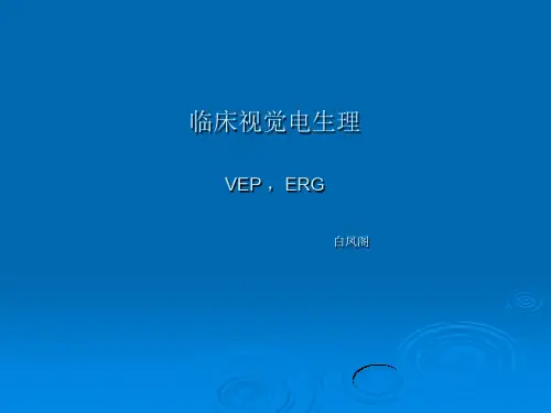 VEP ERG PPT课件