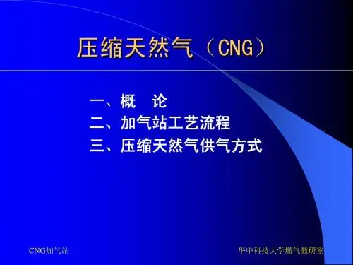 第三讲_压缩天然气(CNG)
