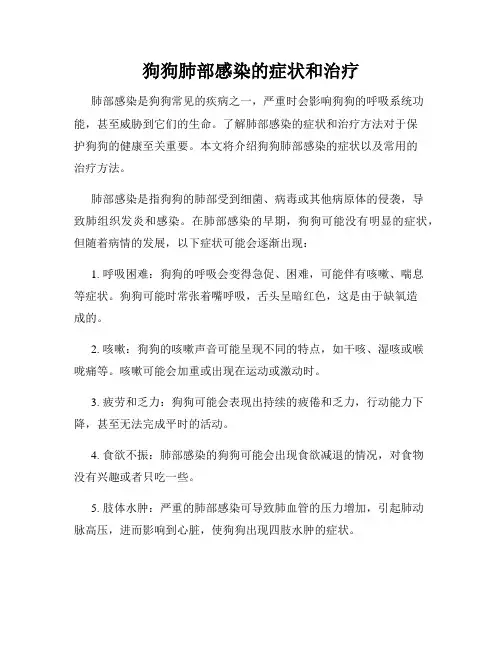 狗狗肺部感染的症状和治疗