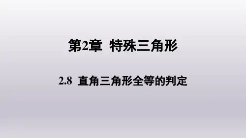 2.8 直角三角形全等的判定 浙教版数学八年级上册课件