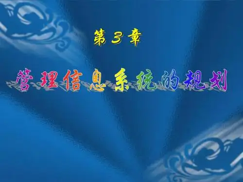 第3章 管理信息系统的规划