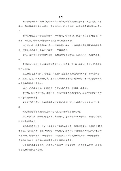 高考复习小说阅读训练：大师