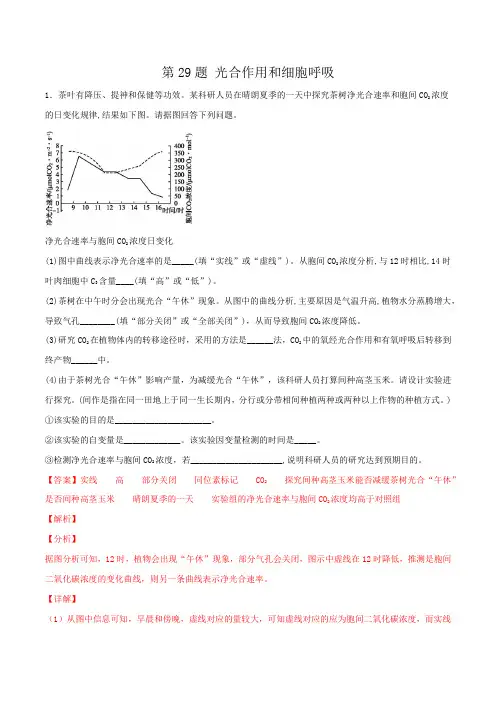 第29题 光合作用和细胞呼吸-2020年高考生物逐题必刷200题(解析版)