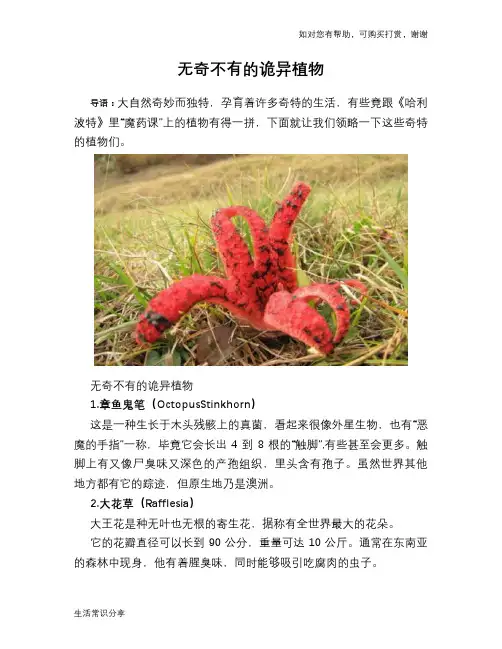 无奇不有的诡异植物