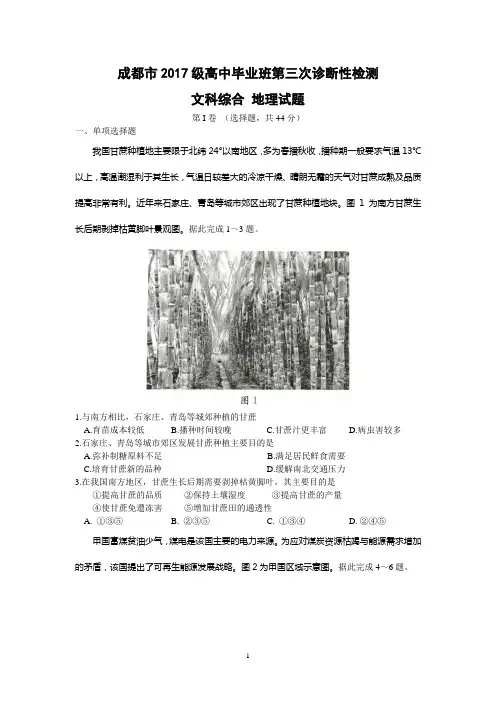 成都市2020届2017级高三三诊地理试题及评分标准