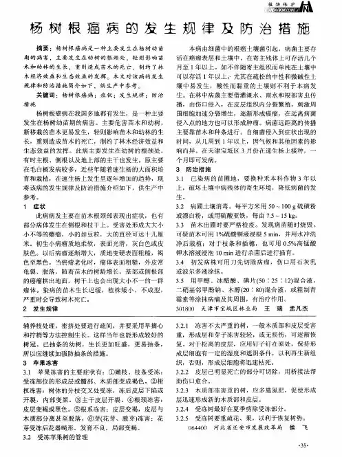 杨树根癌病的发生规律及防治措施