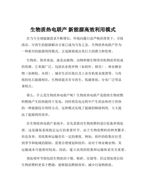 生物质热电联产 新能源高效利用模式
