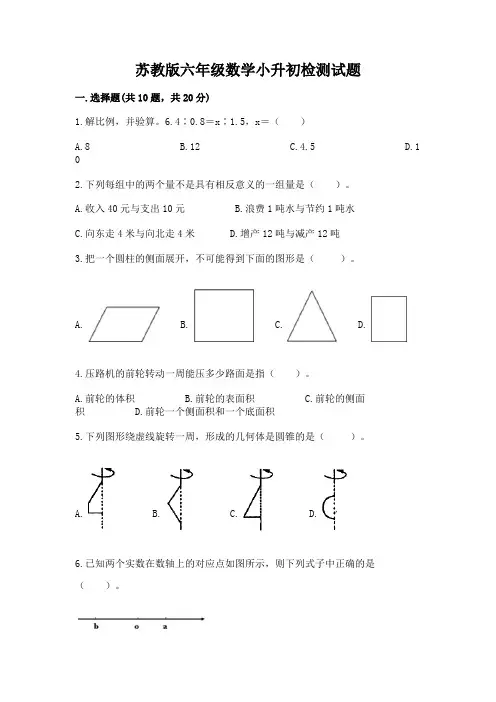 苏教版六年级数学小升初检测试题附参考答案(实用)