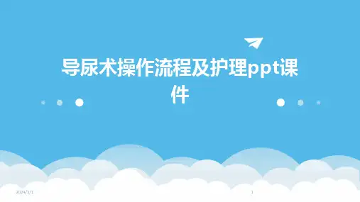 2024年导尿术操作流程及护理ppt课件