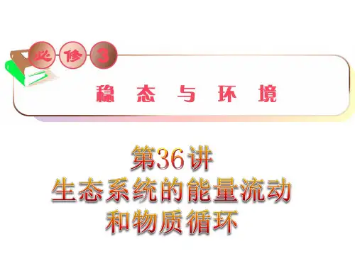 一轮复习生态系统的能量流动和物质循环综述