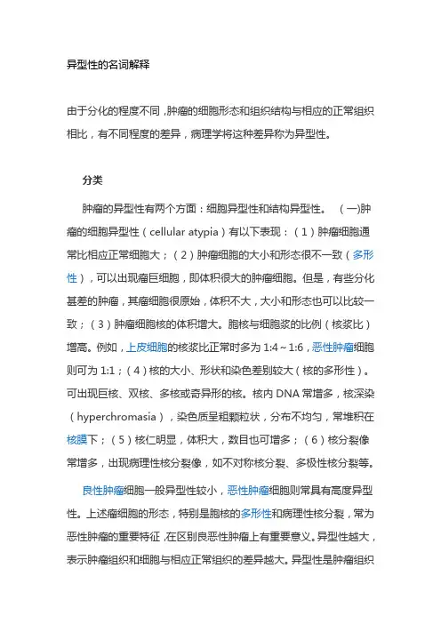 异型性的名词解释