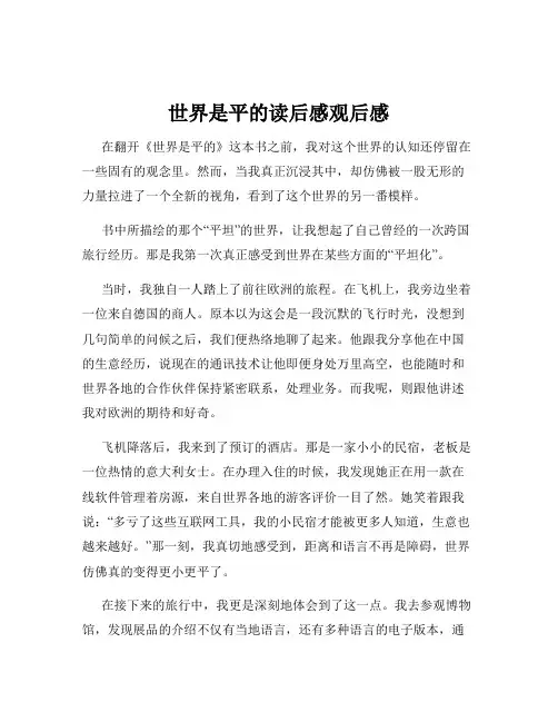 世界是平的读后感观后感