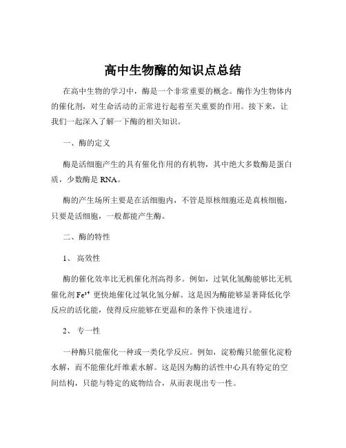 高中生物酶的知识点总结