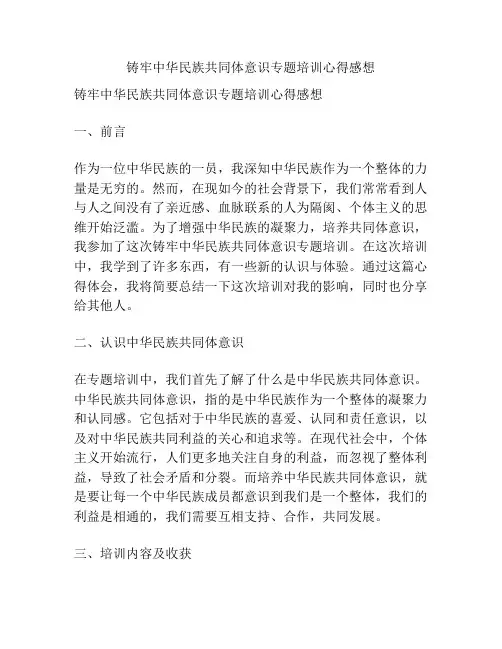 铸牢中华民族共同体意识专题培训心得感想