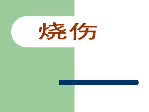 医学课件外科学总论14烧伤、冷伤、咬蛰伤