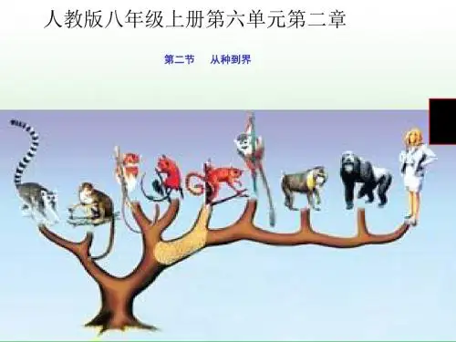 从种到界PPT 人教版1