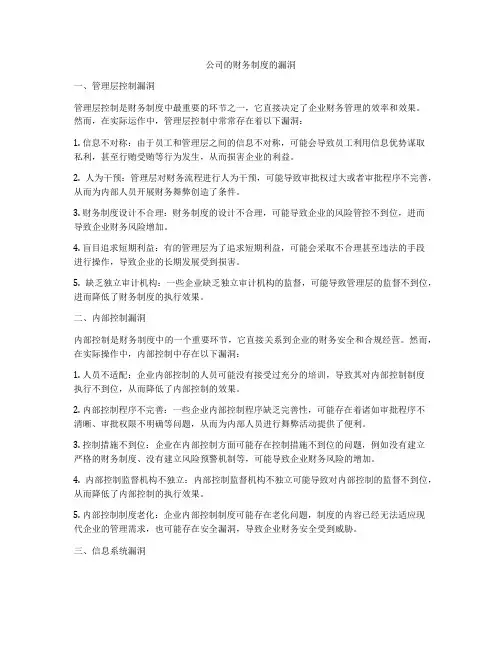 公司的财务制度的漏洞