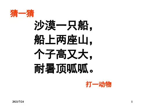 我应该感到自豪才对-第一课时PPT课件